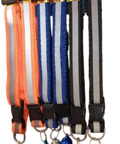 collares para perros